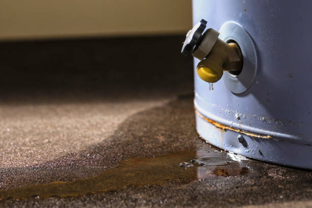 Best Flood restoration services  in Finley, WA