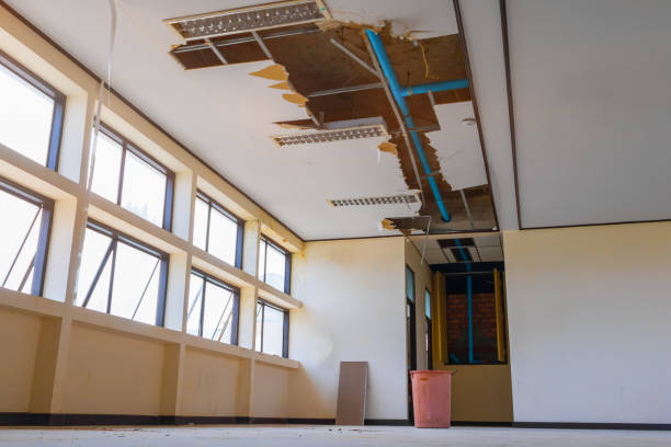 Best Water damage restoration mold remediation  in Finley, WA