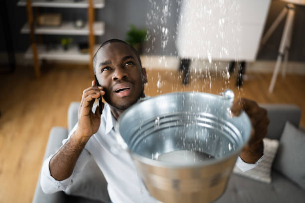 Best Flood damage cleanup  in Finley, WA