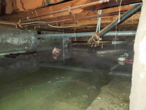  Finley, WA Water damage restoration Pros