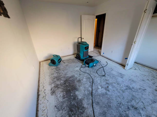 Best Local water damage restoration  in Finley, WA