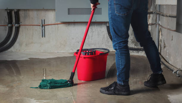 Best Professional water damage repair  in Finley, WA