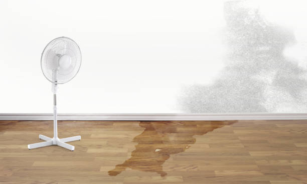 Best Residential water damage restoration  in Finley, WA