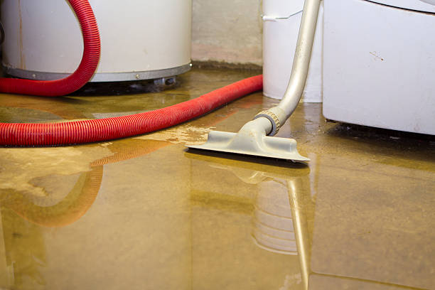 Best Water damage contractors near me  in Finley, WA