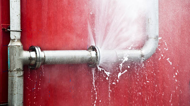 Water damage restoration mold remediation in Finley, WA