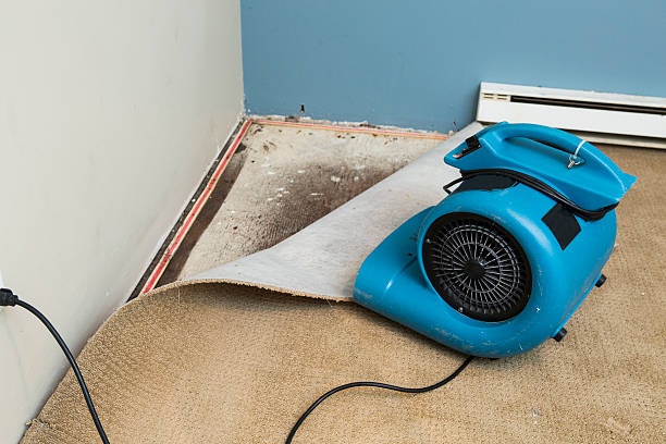 Best Basement water damage restoration  in Finley, WA